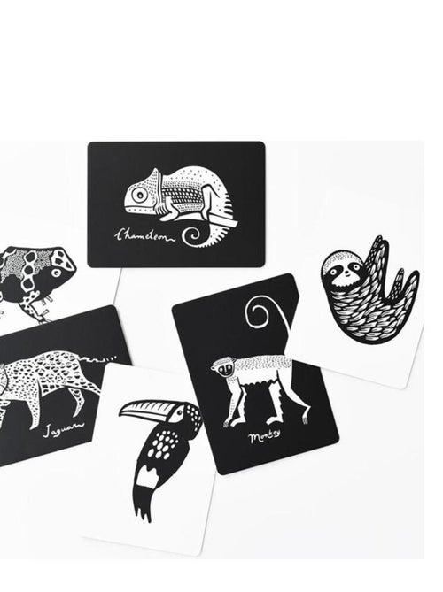 Boîte de 6 cartes Imagier en Noir et Blanc - Forêt Tropicale - Kiabi