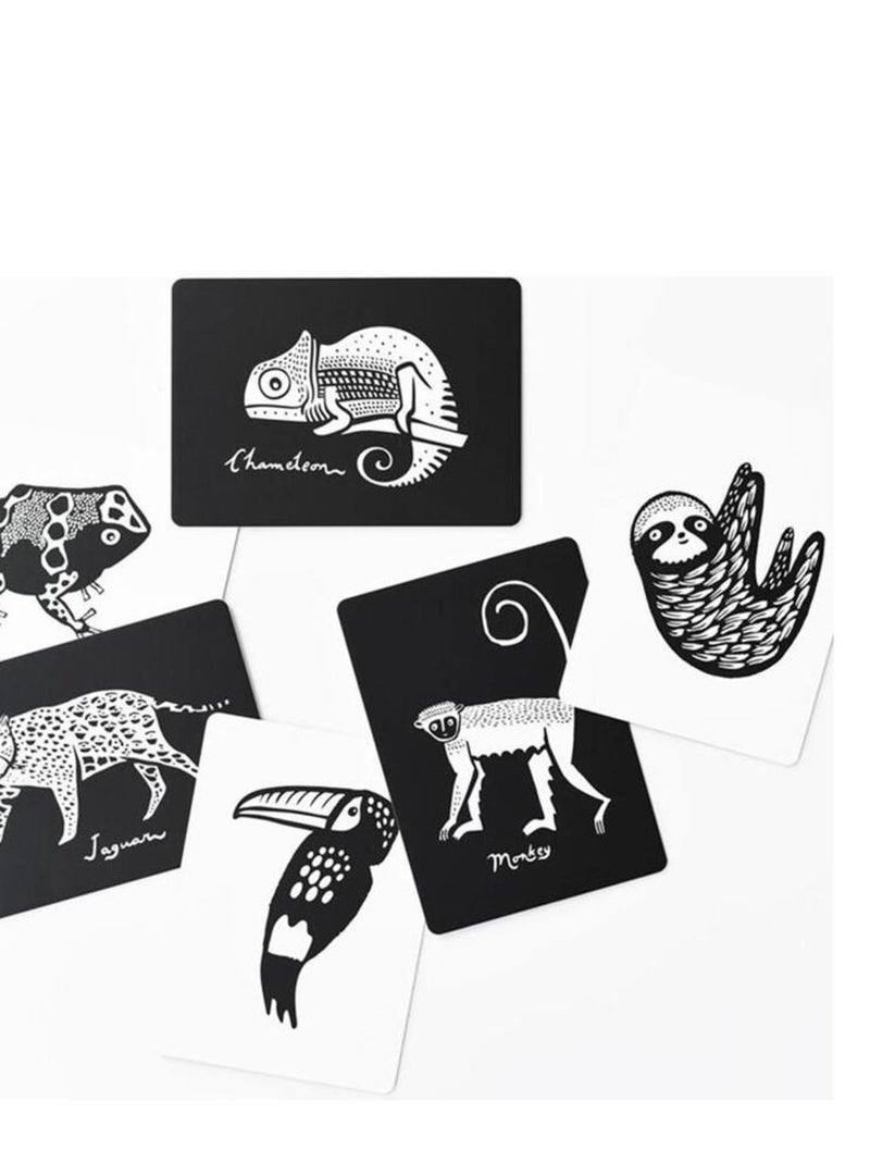 Boîte de 6 cartes Imagier en Noir et Blanc - Forêt Tropicale N/A - Kiabi
