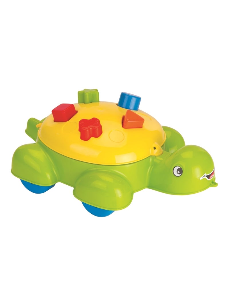 Boîte de tri des tortues 5 pièces Multicolore - Kiabi
