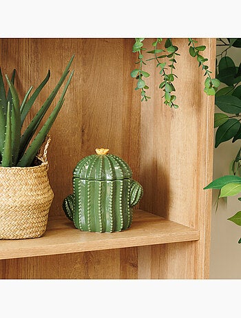 Boîte décorative yuca