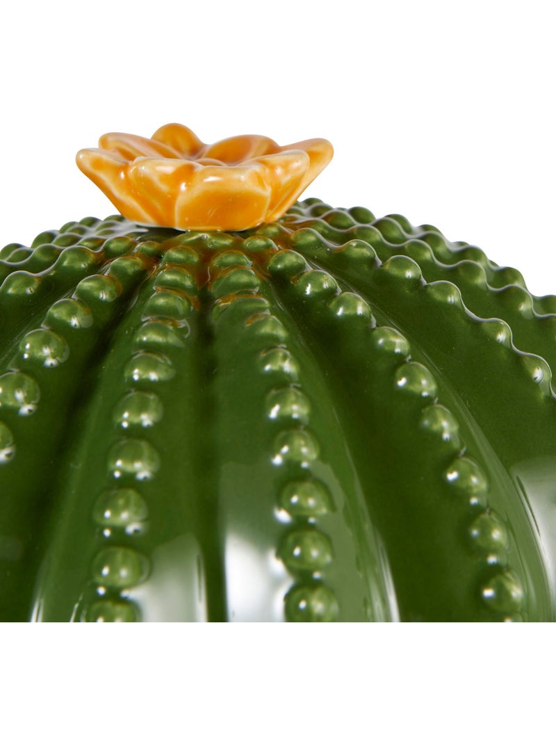 Boîte décorative yuca Vert - Kiabi