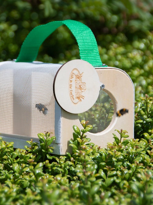 Boîte d'observation des insectes - Kiabi