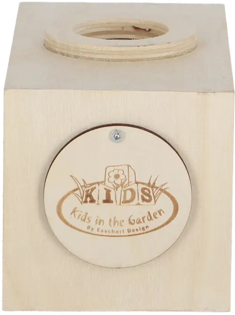 Boîte d'observation insectes en bois Beige - Kiabi