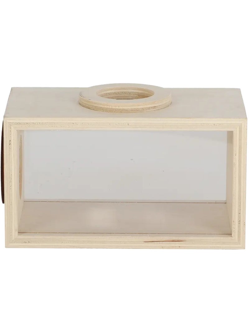 Boîte d'observation insectes en bois Beige - Kiabi