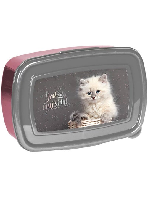 Boîte goûter rectangulaire en PVC NASA chat à fenêtre 18 x 11 x 6 cm - Kiabi Boîte goûter rectangulaire en PVC NASA chat à fenêtre 18 x 11 x 6 cm - Kiabi
