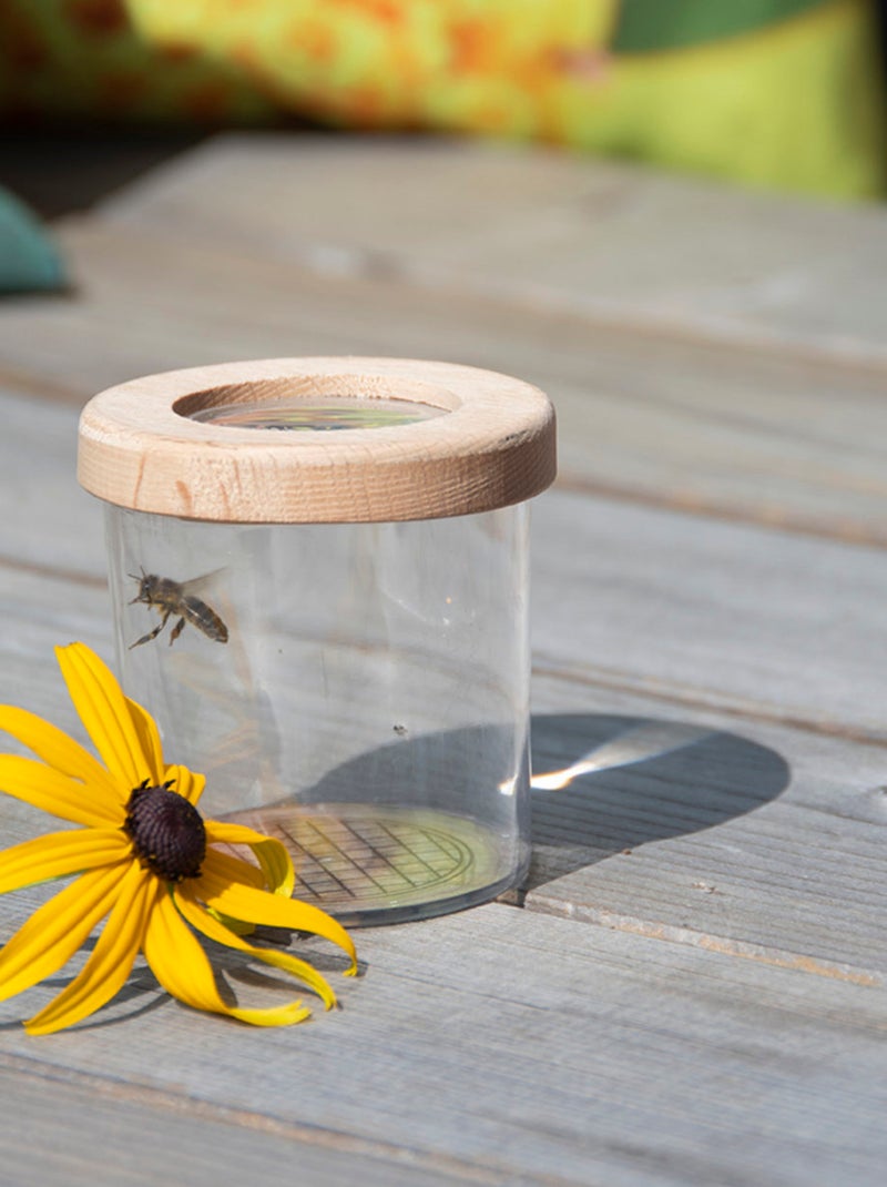 Boite observation insectes avec loupe Beige - Kiabi
