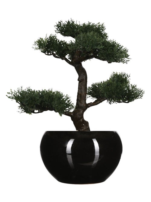 Bonsaï artificiel avec pot en céramique - Kiabi Bonsaï artificiel avec pot en céramique - Kiabi
