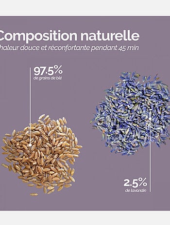 Boots, bottes, chaussons chauffants micro ondes déhoussables - Vivezen