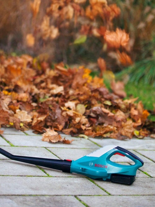 Bosch souffleur pour feuilles - Kiabi