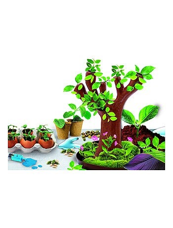 BOTANIQUE 50 expériences (arbre en Bio-plastique)