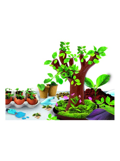 BOTANIQUE 50 expériences (arbre en Bio-plastique) - Kiabi