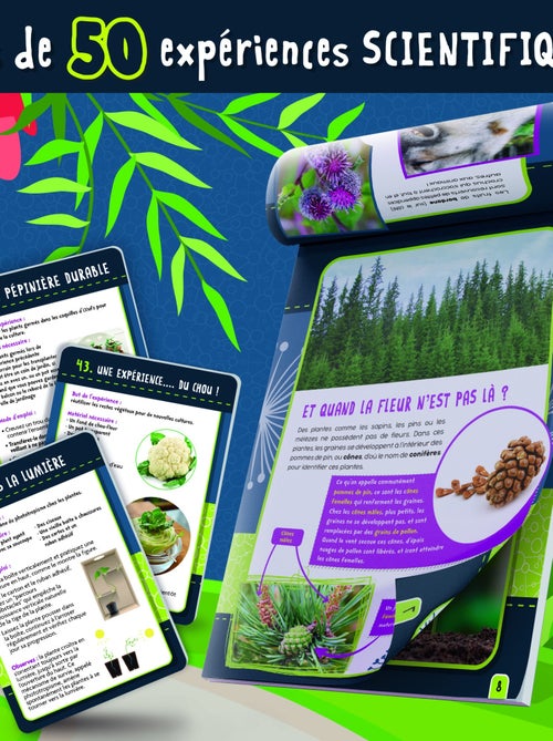 BOTANIQUE 50 expériences (arbre en Bio-plastique) - Kiabi