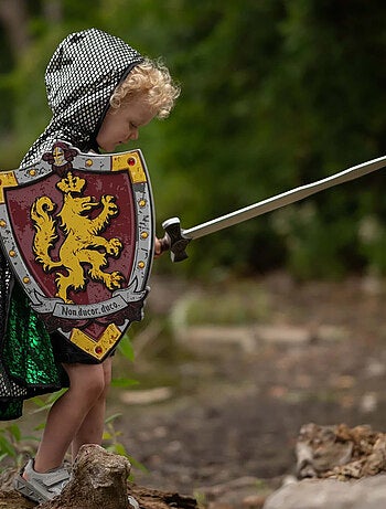 Bouclier de chevalier Honour en mousse Great Pretenders