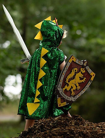 Bouclier de chevalier Honour en mousse Great Pretenders