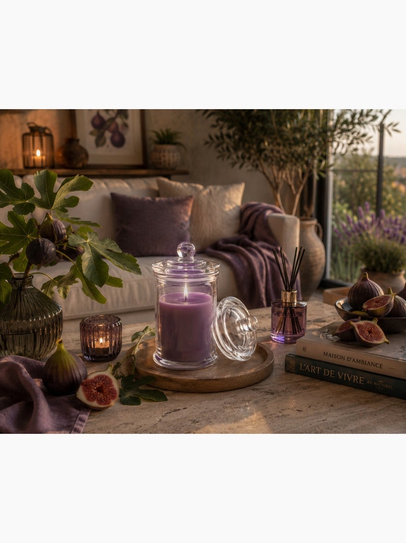 Bougie bocal en verre transparent Figue Violet - Kiabi