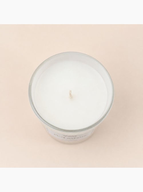 Bougie en cire de soja parfumée "nuit polaire" 280gr - Kiabi