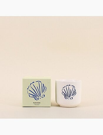 Bougie parfumée céramique 170g, boite cadeau coquillage
