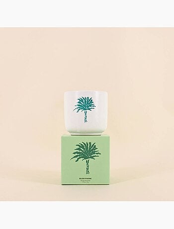 Bougie parfumée céramique 170g, boite cadeau palmier