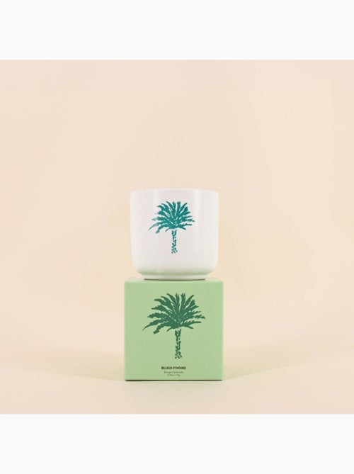 Bougie parfumée céramique 170g, boite cadeau palmier - Kiabi