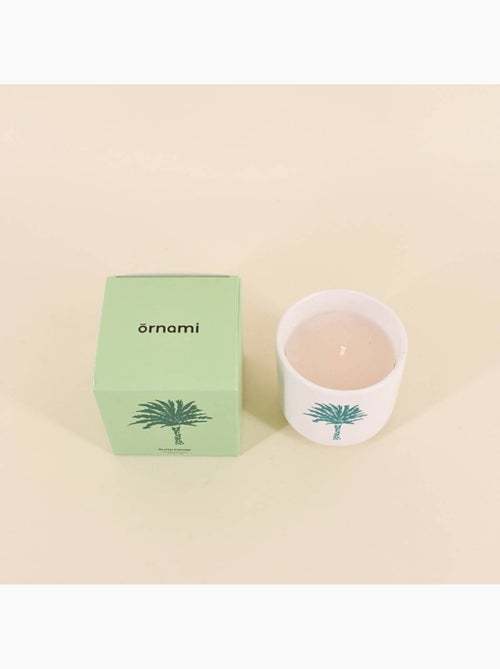 Bougie parfumée céramique 170g, boite cadeau palmier - Kiabi