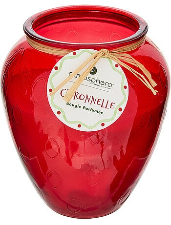 Bougie parfumée citronnelle 550g pot en verre coloré FRUITY