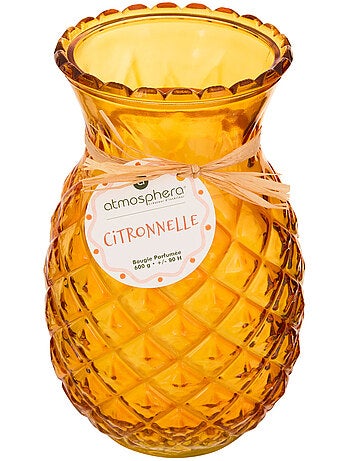 Bougie parfumée citronnelle 600g pot en verre ananas FRUITY