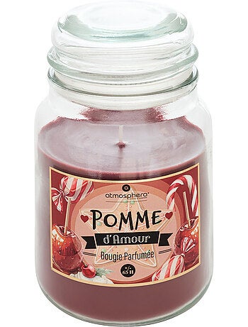 Bougie parfumée ELOA