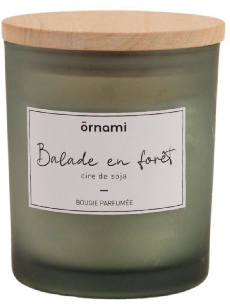 Bougie parfumée en cire de soja "balade en forêt" 280g Vert - Kiabi