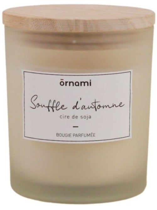 Bougie parfumée en cire de soja "souffle d'automne" 280g - Kiabi