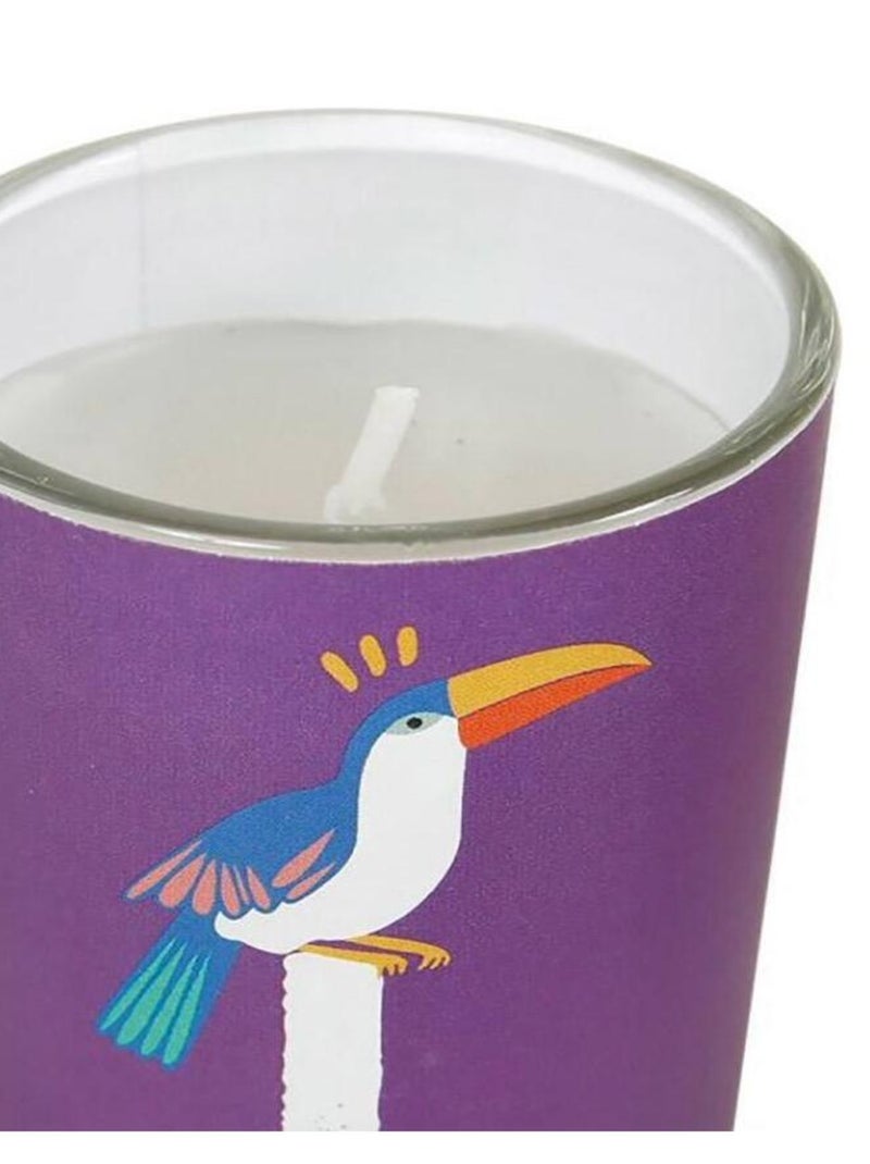 Bougies pot verre Jungle X4 Violet - Kiabi