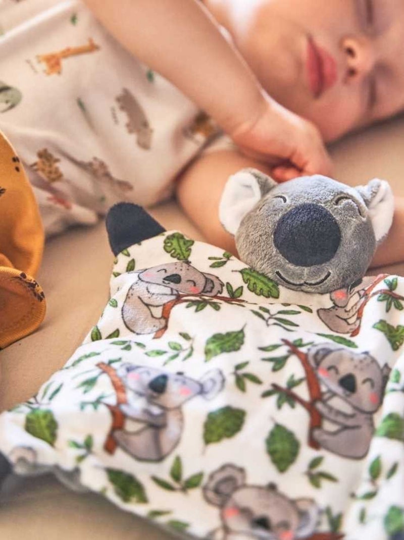 Bouillotte bébé Koala - Made in France Gris - Kiabi