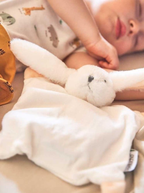 Bouillotte bébé Lapin - Made in France - Kiabi
