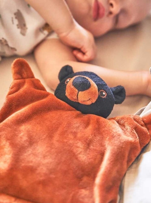 Bouillotte bébé Ours noir - Made in France - Kiabi