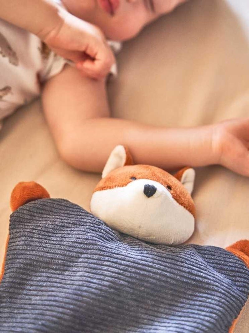 Bouillotte bébé Renard - Made in France Blanc - Kiabi