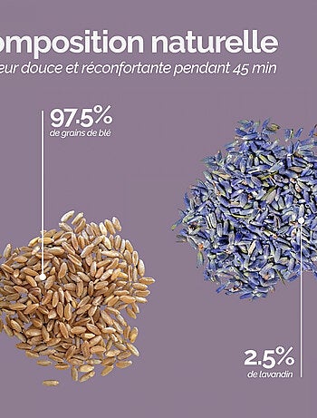 Bouillotte chauffante ou refroidissante déhoussable - Cosy - Vivezen
