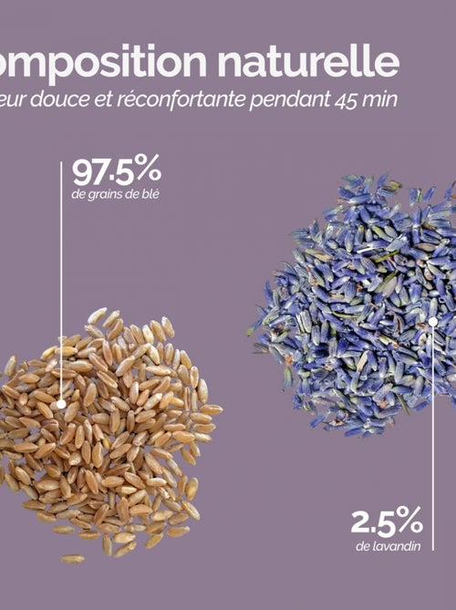 Bouillotte chauffante ou refroidissante déhoussable - Cosy - Vivezen - Kiabi