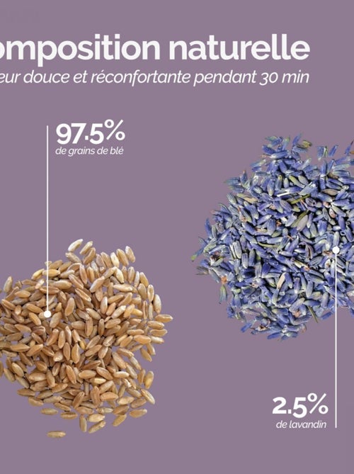 Bouillotte chauffante ou refroidissante déhoussable pour toutes parties du corps - Vivezen - Kiabi