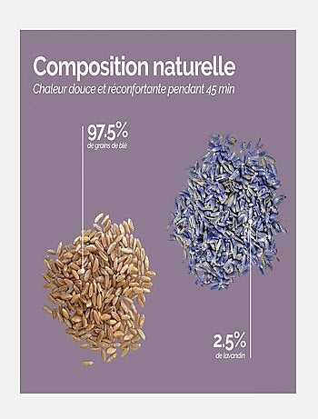 Bouillotte, coussin chauffant pour le dos ou autres parties du corps - Vivezen