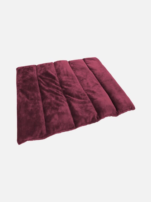Bouillotte, coussin chauffant pour le dos ou autres parties du corps - Vivezen - Kiabi