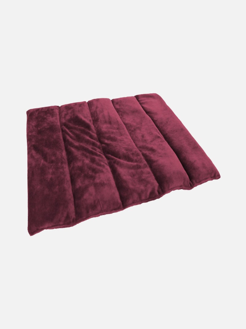 Bouillotte, coussin chauffant pour le dos ou autres parties du corps - Vivezen Violet prune - Kiabi