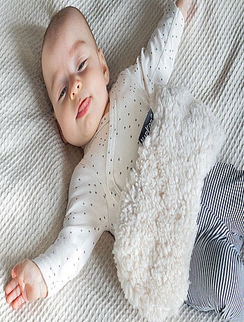 Bouillotte sèche déhoussable aux graines de lin - Teddy Sand