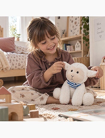Bouillotte sèche mouton en peluche déhoussable chaud ou froid