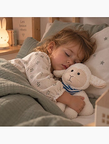 Bouillotte sèche mouton en peluche déhoussable chaud ou froid