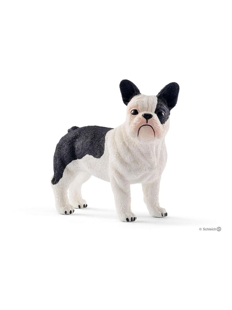 Bouledogue français Noir Blanc - Kiabi