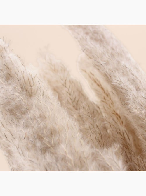 Bouquet 5 pampas 100cm - Kiabi