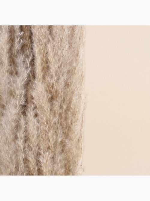 Bouquet 5 pampas 100cm - Kiabi