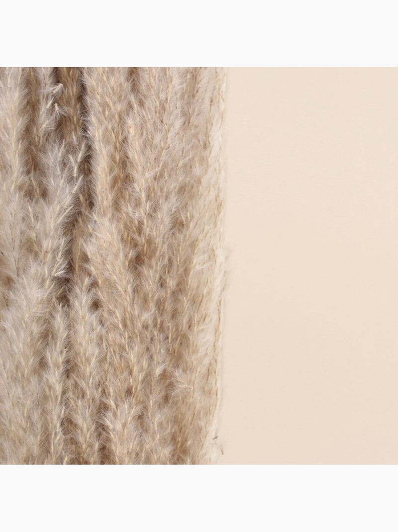 Bouquet 5 pampas 100cm Beige - Kiabi