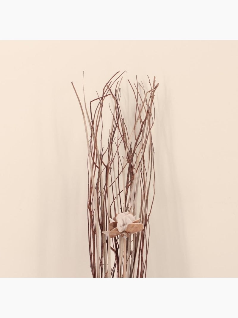 Bouquet de fleurs séchées 100cm Beige - Kiabi