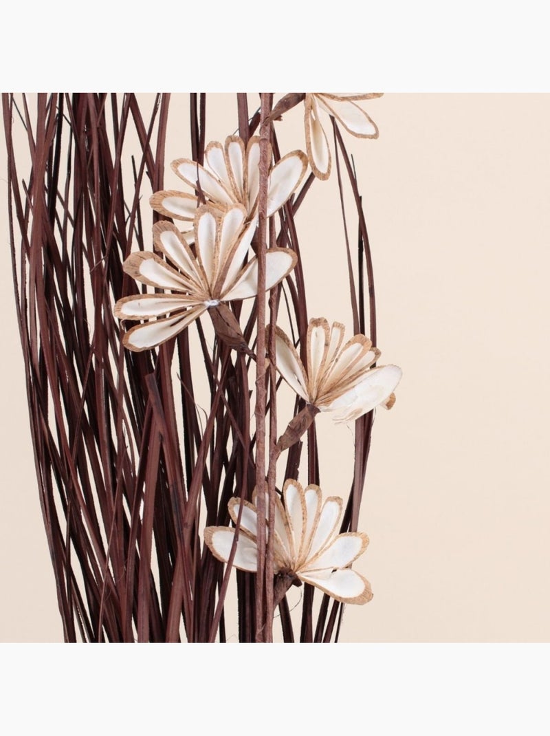 Bouquet de fleurs séchées 100cm Marron - Kiabi