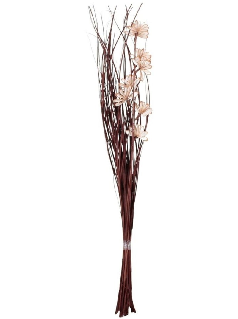 Bouquet de fleurs séchées 100cm Marron - Kiabi